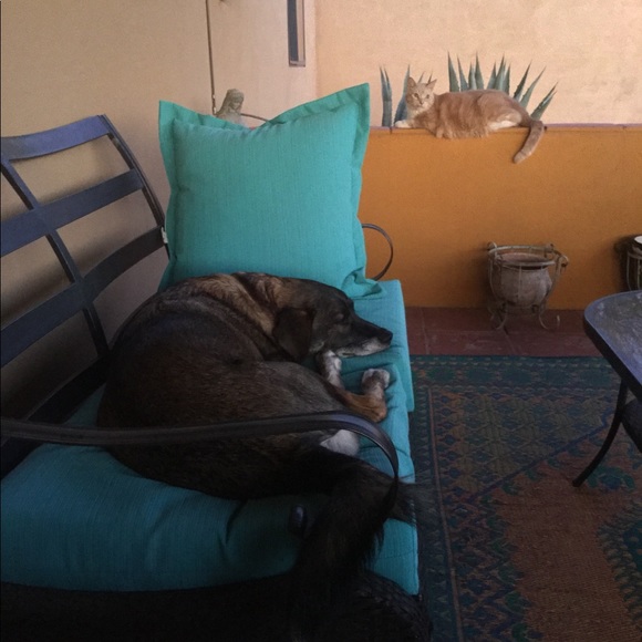 Vintage Rock & Republic Los Angeles Destroyed 28 - Picture 8 of 8